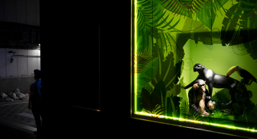 3D / Holographic Video Walls